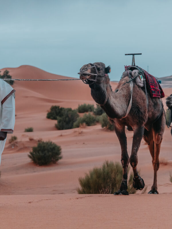 4 Days Desert Tour Marrakech To Fes