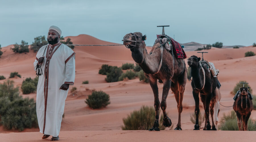 4 Days Desert Tour Marrakech To Fes